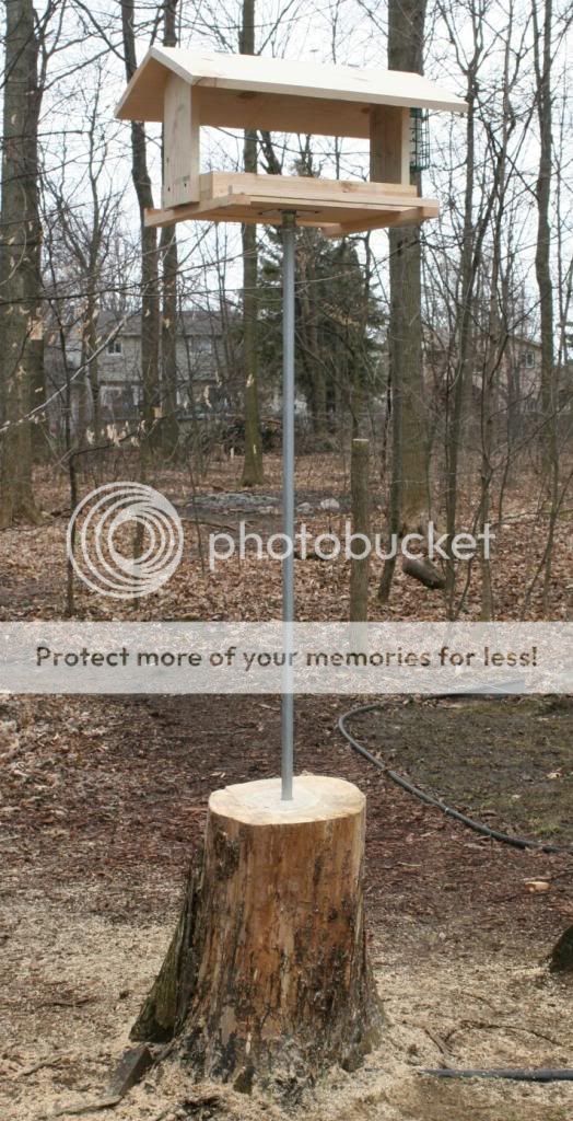 Bird feeder Michigan Sportsman Online Michigan Hunting and Fishing